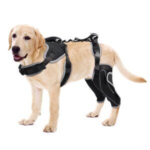NEW - LISPOO Adjustable Knee Brace for Dogs Back Leg With Metal Splint, LARGE